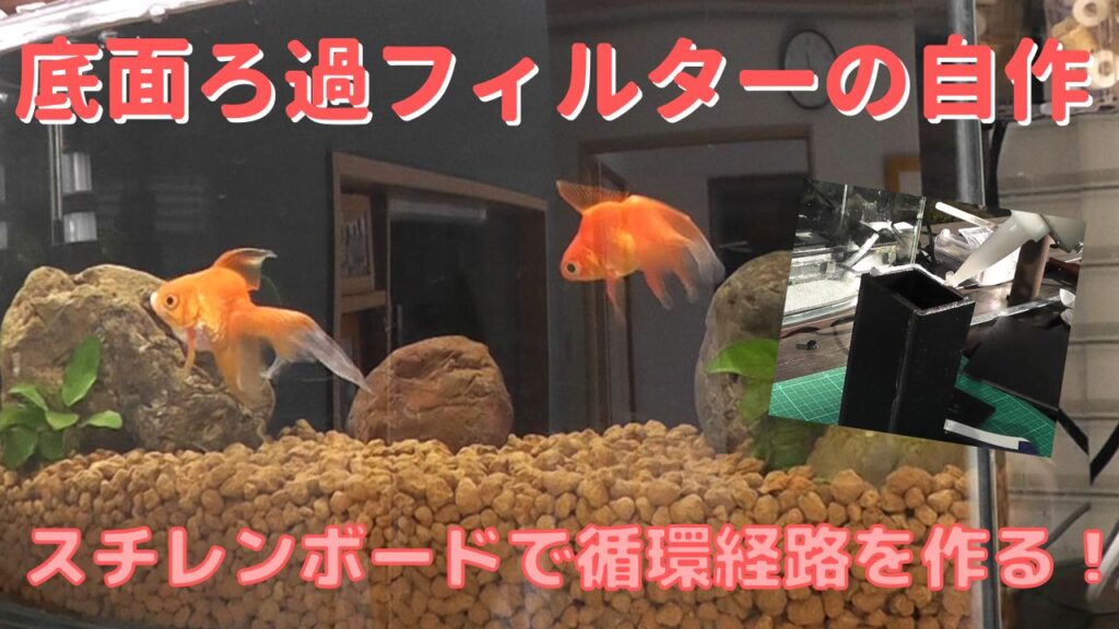 スチレンボードで自作の底面ろ過フィルターを作成し金魚水槽を立上げ 