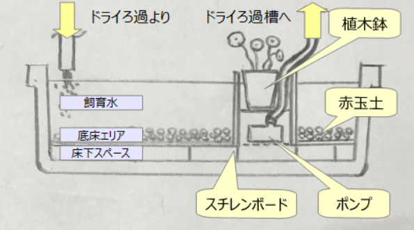 メダカのビオトープに設置した底面ろ過とドライろ過を組み合わせたろ過装置