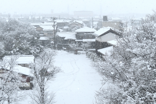 屋外飼育にやってくる厳しい冬