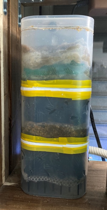 ニッポンバラタナゴ水槽用に自作したドライ式外部フィルター