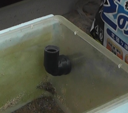 サテライト水槽の水は、Ｌ字型塩ビ管によるオーバーフローで排出される