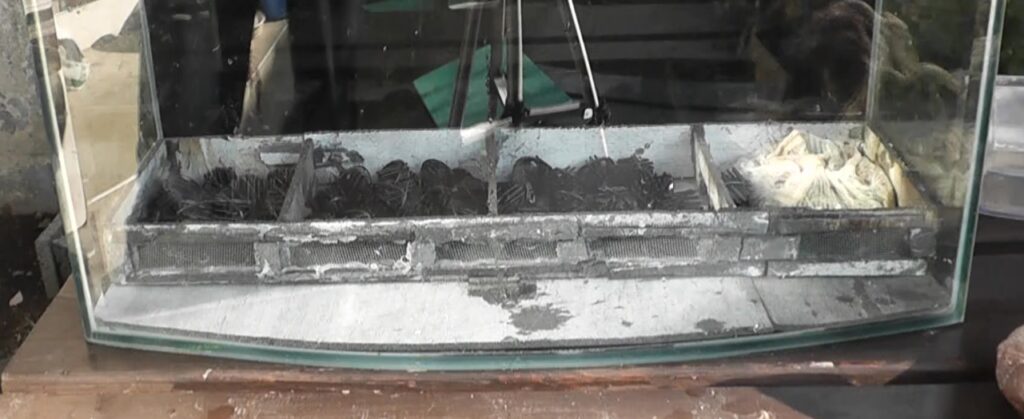 底面ろ過フィルターの床下スペース部分には目詰まりしにくいカミハタ製のバイオボールを仕込みます