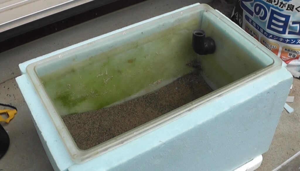 屋外水槽を断熱材で覆って真夏の温度上昇対策をする