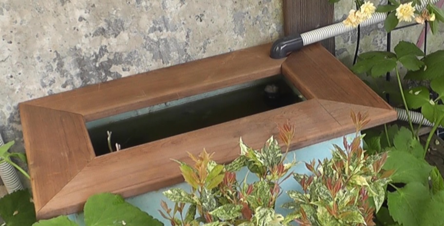 完成したタナゴ繁殖サテライト水槽の魚飛び出し防止用のサーモウッド製の木枠蓋