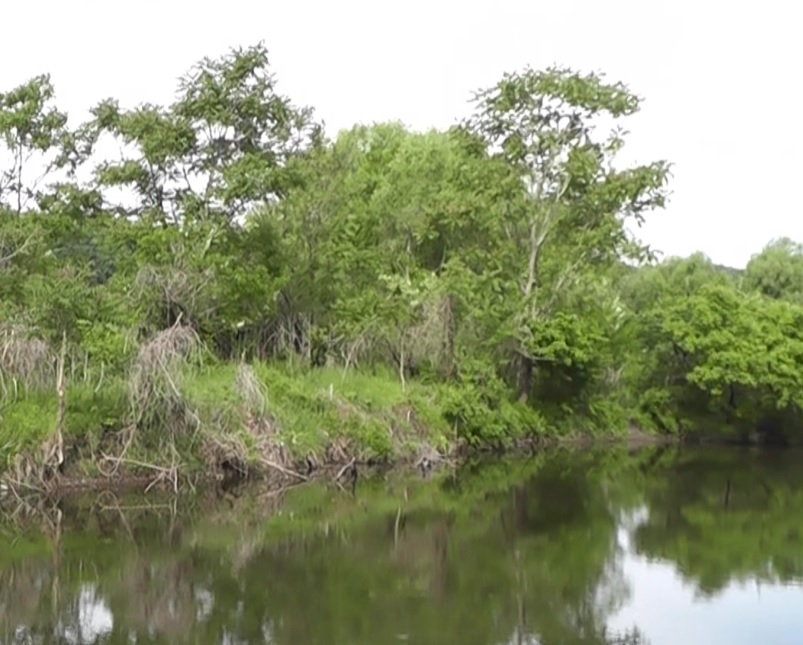 多摩川の拝島橋付近のジャリ穴