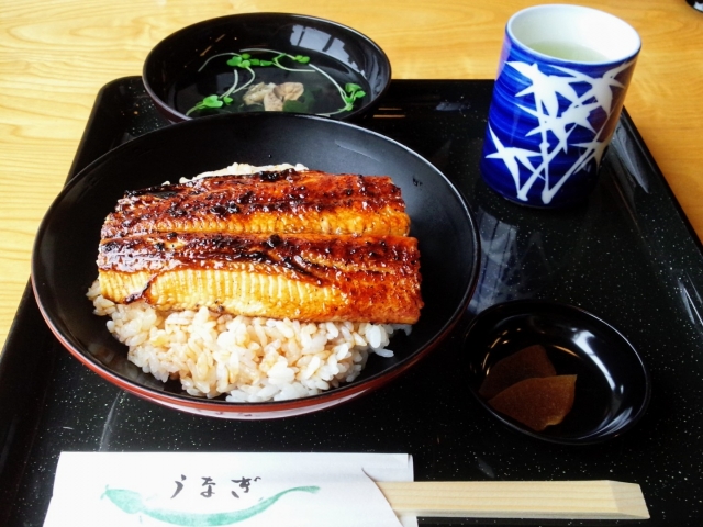 夏になると食べたくなるうなぎの蒲焼きをご飯に乗せたうな丼、うな重