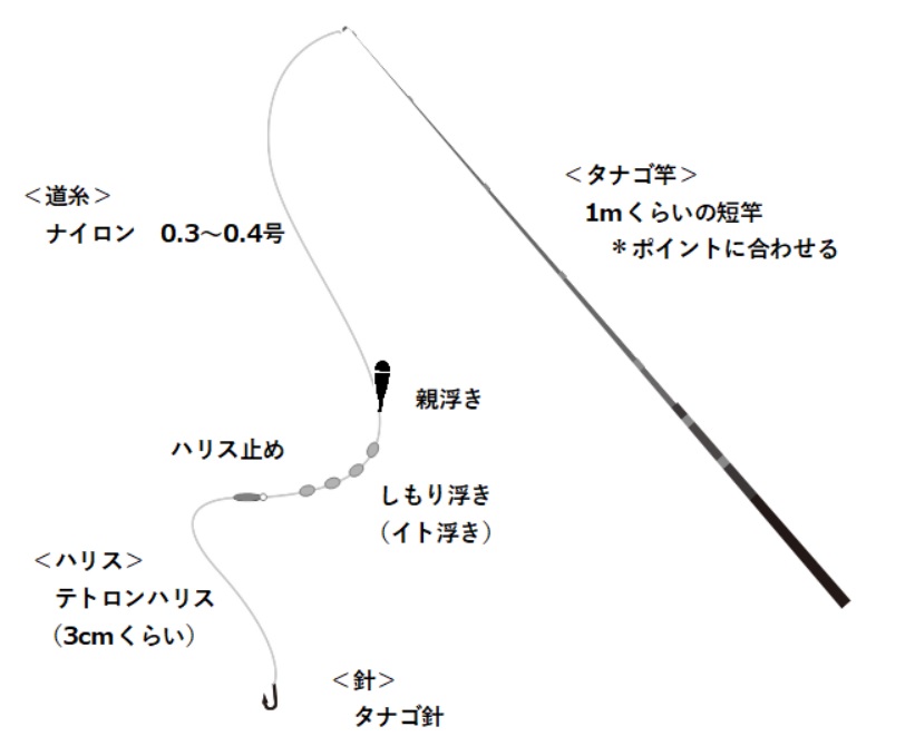 タナゴ釣りに使用する標準的な竿や仕掛け
