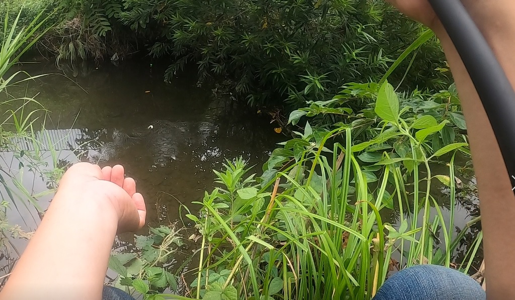 小物釣りは止水域方が魚の小さなアタリを視認出来て楽しい