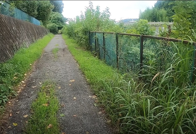 多摩川水系谷地川の両岸はフェンスに覆われていて川岸に降りれるところは少ない
