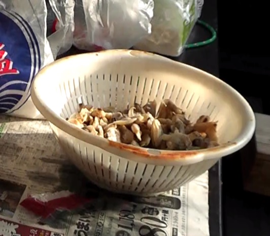 カワハギ釣りの餌には塩で少し締めたアサリが良く使用される