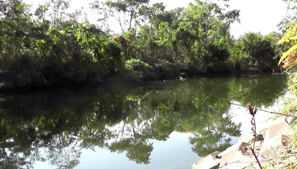 多摩川拝島橋上流のジャリ穴は小規模な釣りのポイント