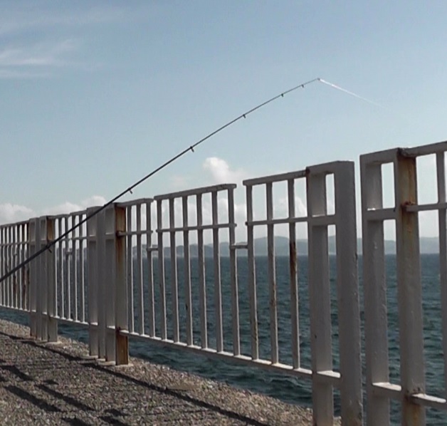 藤沢市湘南海岸の相模湾に突き出た江ノ島(江の島)湘南大堤防の外海側に投入したカワハギ仕掛け
