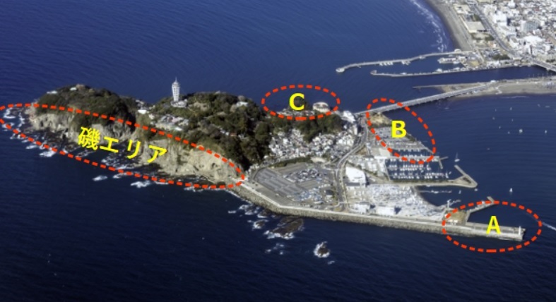 相模湾に突き出た藤沢市湘南海岸の江ノ島(江の島)には釣りのポイントがたくさんあります。