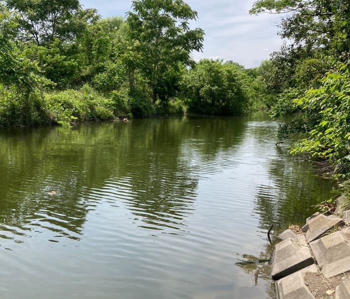 多摩川拝島橋上流のジャリ穴は水量も戻っていい感じ