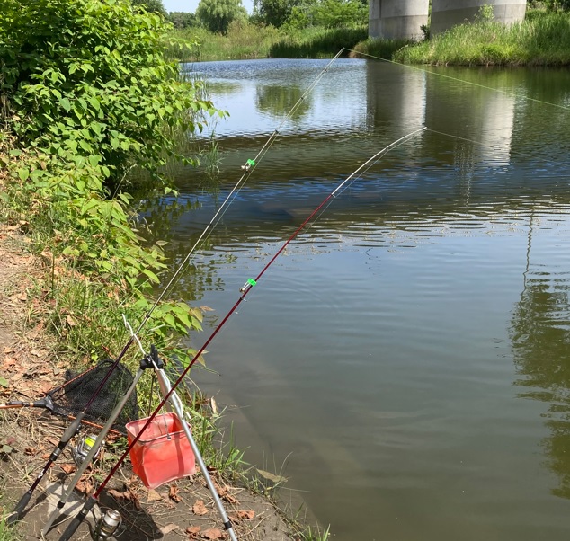 多摩川拝島橋上流のジャリ穴でリール竿２本体制で吸い込み仕掛けのぶっこみ鯉釣りを開始