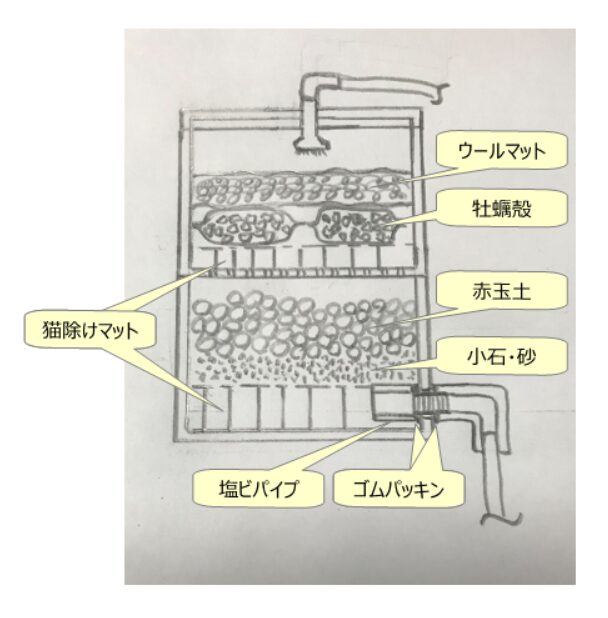 タナゴ水槽用に自作したドライろ過槽の断面構造図
