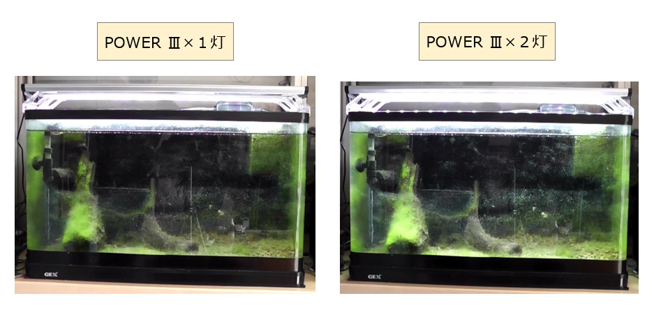 GEX製LED照明POWERⅢが１灯と２灯の場合の水槽の明るさ