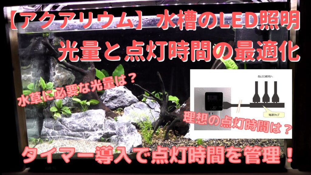 水草水槽のLED照明の光量と点灯時間の最適化でコケの発生を防止