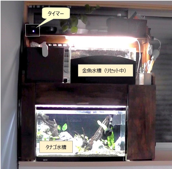 LED照明の点灯時間をコントロールするタイマーを設置した我が家の水槽
