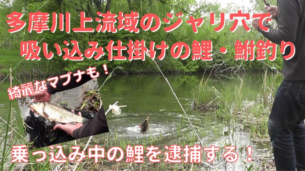 川でコイ釣りされる方　必須 川でコイ釣りされる方 必須 【公式通販】