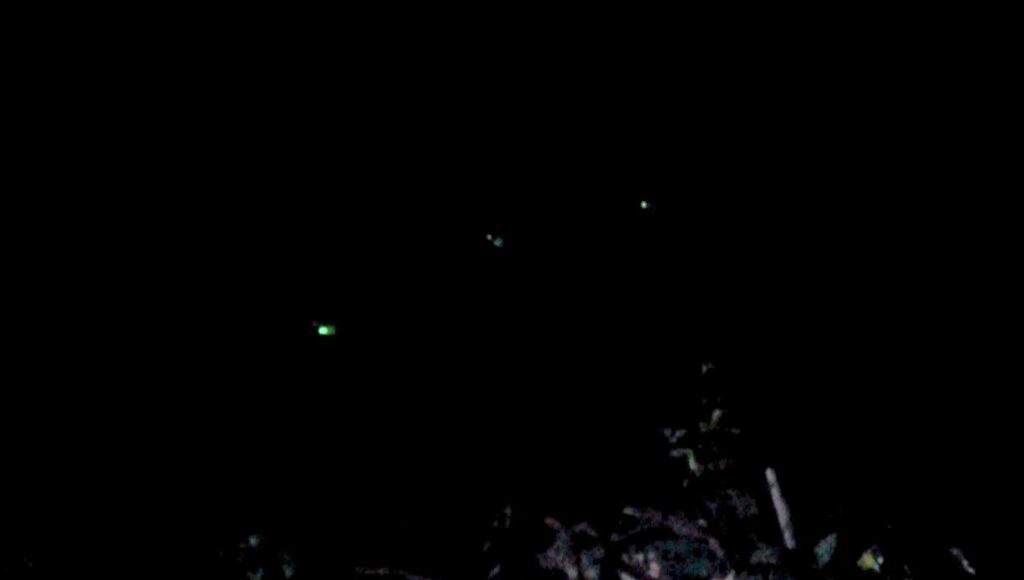 うなぎの夜釣りで竿先に付けたケミホタル