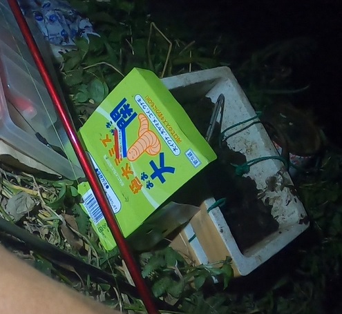 大関は釣具屋さんで購入できる大型のミミズ餌