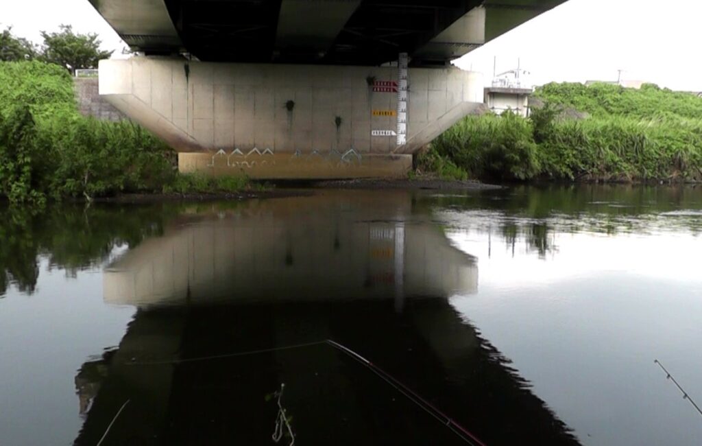 平塚市の金目川水系の橋の下でうなぎ釣り開始