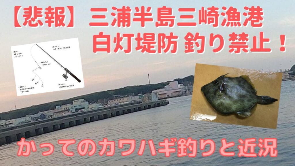三浦半島三崎漁港の白灯堤防が釣り禁止-カワハギの釣り方と近況報告