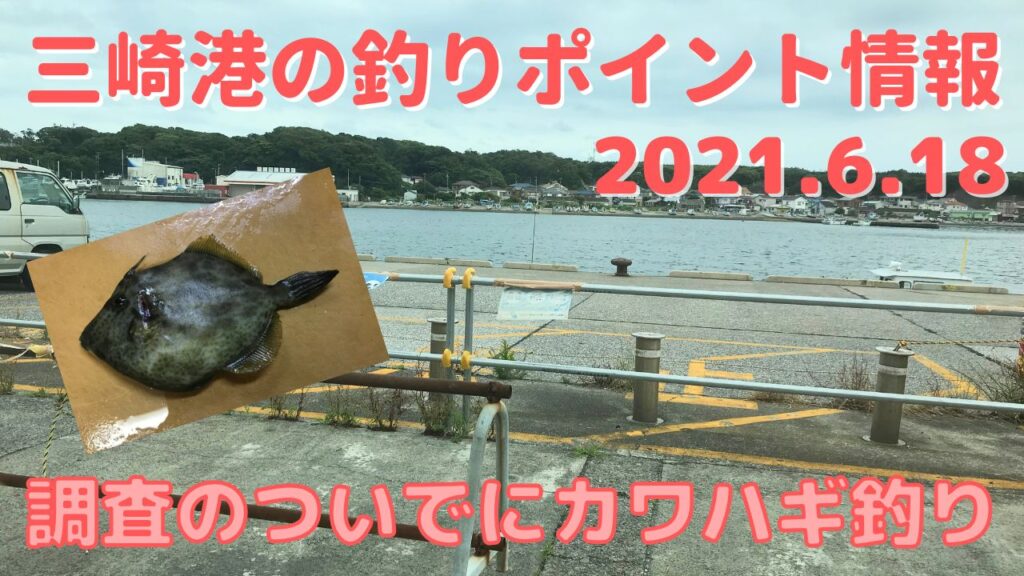 コロナ禍の三崎港の各釣りポイントの状況報告と投げカワハギ釣り