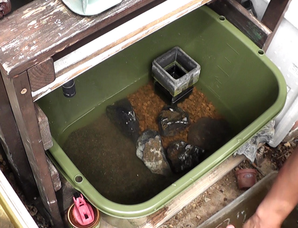 新たに設置するビオトープの底床に赤玉土と川砂を使用