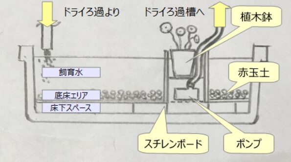 タナゴのビオトープに採用している底面ろ過システムの構成図