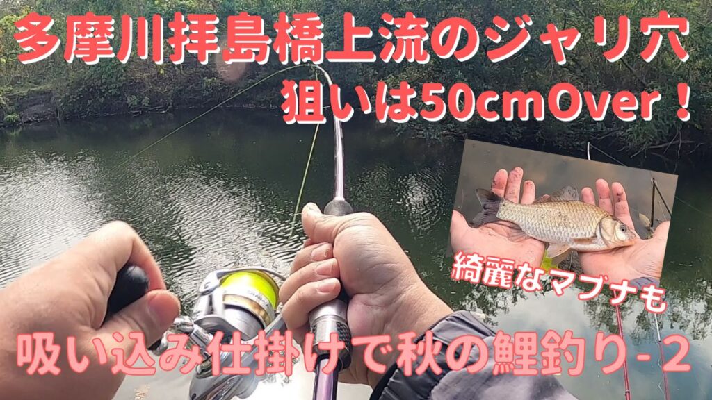 多摩川拝島橋上流のジャリ穴で吸い込み仕掛けの鯉釣りとマブナ釣り２
