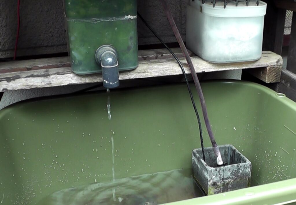 新たに設置したビオトープに生体を入れる前にろ過システムを稼働させて水質を安定させる